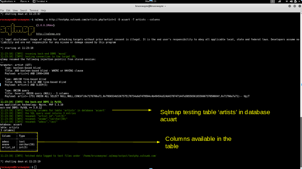 Explained columns