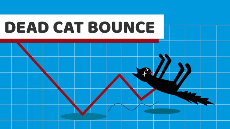 What Is a Dead Cat Bounce in Investing?