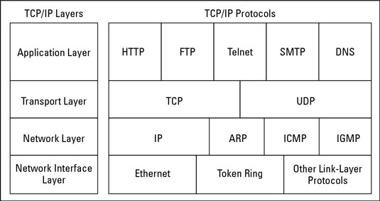 TCP/IP Model in Networking – Codelivly